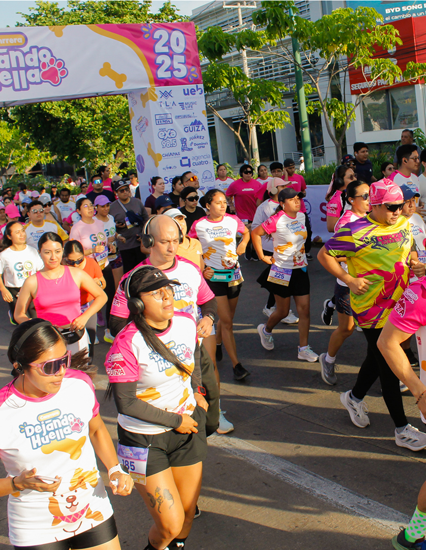 Imagen galeria 03